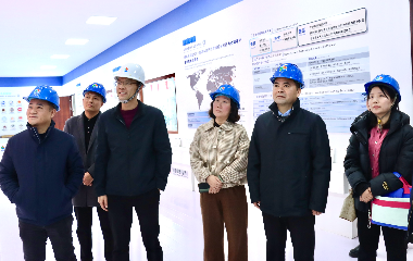 陽(yáng)光電源股份、宜賓智能制造行業(yè)協(xié)會(huì)、宜賓安徽商會(huì)調(diào)研遠(yuǎn)東電纜（宜賓）