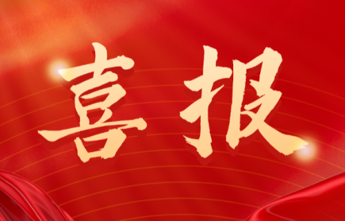 喜報(bào)！遠(yuǎn)東電纜（宜賓）胡清平榮登2025年第一批擬認(rèn)定主導(dǎo)產(chǎn)業(yè)企業(yè)人才名單